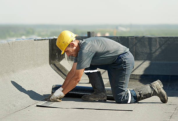 Best Insulation Installation Services in Mammoth, AZ