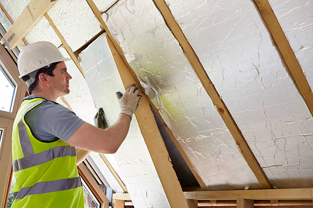 Best Commercial Insulation in Mammoth, AZ